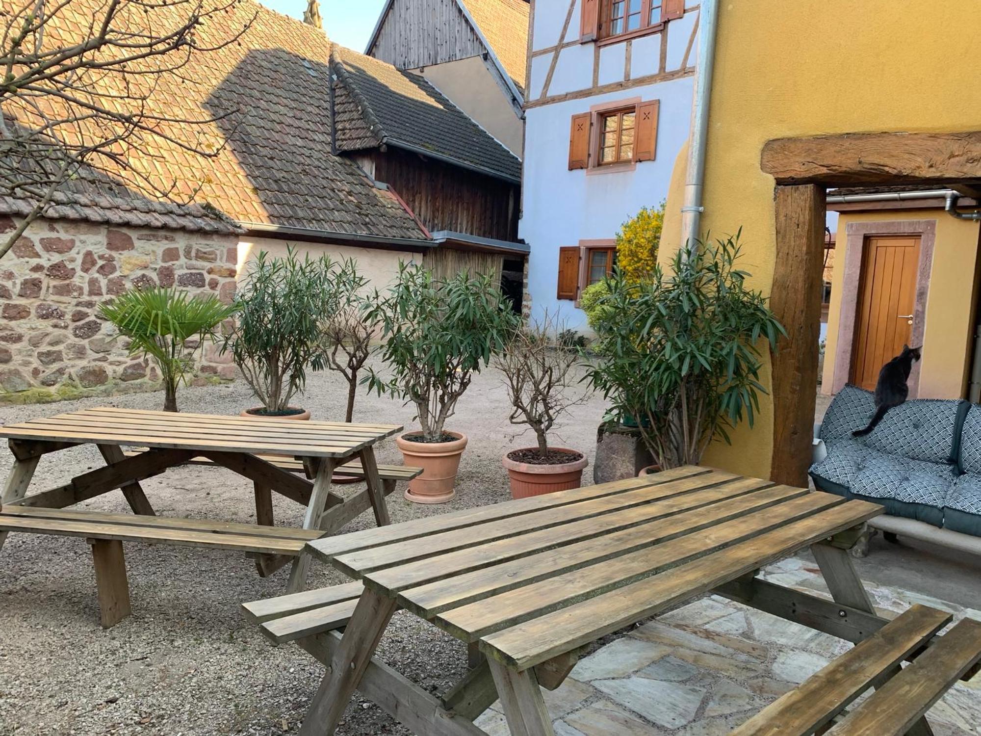 Chez Suzel Apartment Hunawihr Bagian luar foto